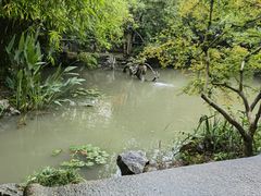 -汇龙潭
