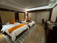 -圣爵菲斯大酒店(长沙世界之窗店)