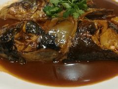 -邵年鸽(杨庄店)