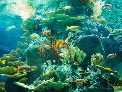 -福州罗源湾海洋世界旅游区