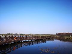 -上海海湾国家森林公园