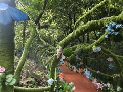 -浙北大峡谷