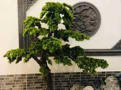 -呼吸森林·生态农庄农家乐私房菜