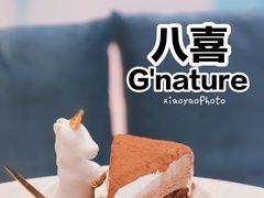 -八喜G’nature冰淇淋旗舰店