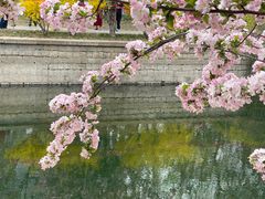-海棠花溪(元大都城垣遗址公园)