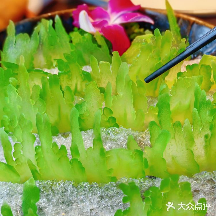 十年养一鱼的脆肉鲩火锅真的值得反复N刷！！