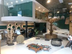 大堂-飞行喵MR PILOT|猫舍·猫咖(静安大融城店)