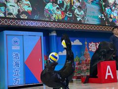 -成都浩海立方海洋公园