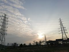 -王借岗森林公园