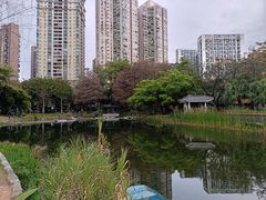 -四海公园(南山区)