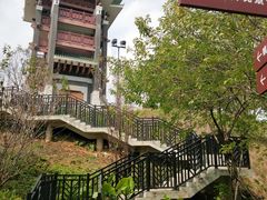 -王借岗森林公园