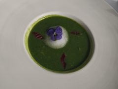 碧绿菠菜蘑菇汤-佐度王子扒房(天鹅湖店)