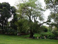 景点-广州兰圃