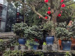 -三圣花乡旅游区