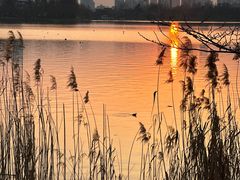 -玄武湖景区-情侣园游乐场