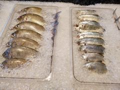 -Isla Sugbu Seafood City