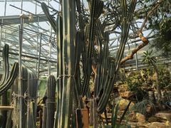 -国家植物园南园