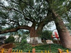 -新安江山水画廊风景区