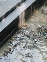 -宝生月子中心·独栋独院式(南山店)