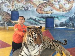 -新疆天山野生动物园