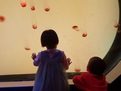 -沈阳海洋探索中心