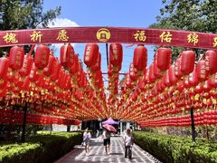 -大槐树寻根祭祖园