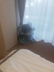 -爱小小美甲美学