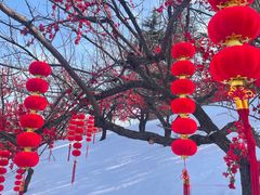 -威海华夏城景区