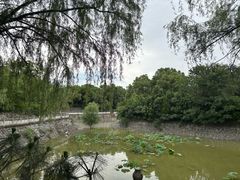 -开福禅寺