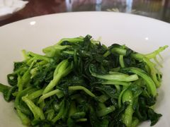 -碧丽宫大酒店(召稼楼店)