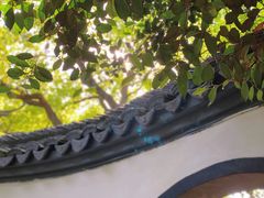 -上海醉白池公园