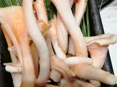 -木王宴语·野生鲜菌火锅(玉河店)
