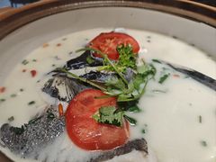 -全乐鱼馆·淳牌有机鱼直营店