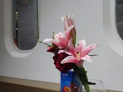 -法兰度航空主题餐厅(端州店)