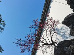 -胡雪岩故居