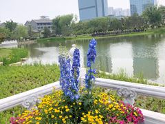 -西海子公园