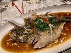 -梅龙镇酒家(南京西路总店)