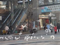 -中粮·祥云小镇