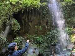 -莫里热带雨林景区