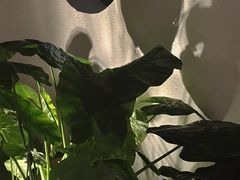 -绣园·茶食宴(湘绣博物馆店)