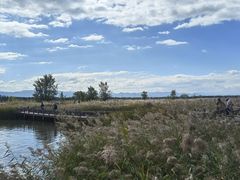 -野鸭湖国家湿地公园