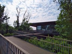 -白鹭湾湿地公园