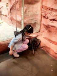 -Zoolung Zoolung动物主题公园(海信广场店)
