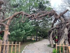 -沈阳植物园
