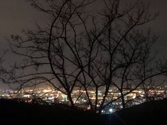 -鬼笑石后山停车场