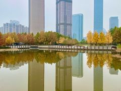 -大望京公园