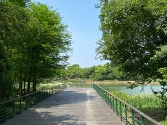 -尚贤河湿地