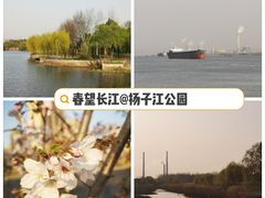 -扬子江公园