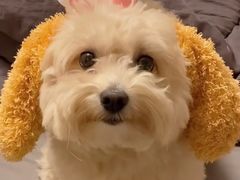 -钢五区节子串串香(环球汇·天誉店)