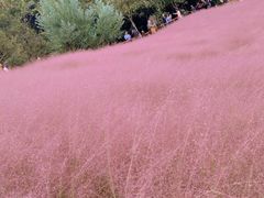 -牛岗山公园